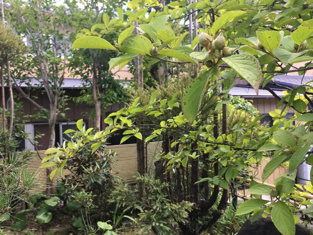 Masugataya Ryokan Tako