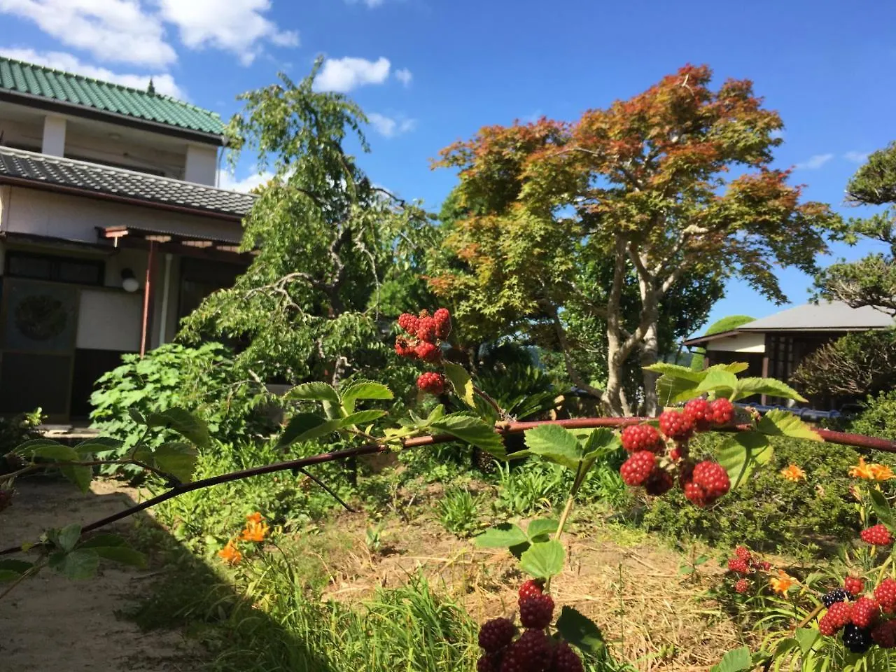 Masugataya Ryokan Tako